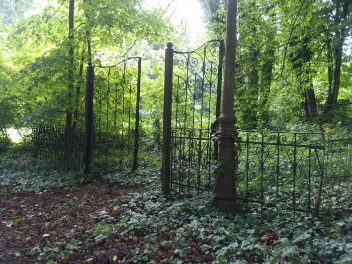 Das Tor und der Wald als Symbol für den Zugang zum Unbewussten und den Traeumen